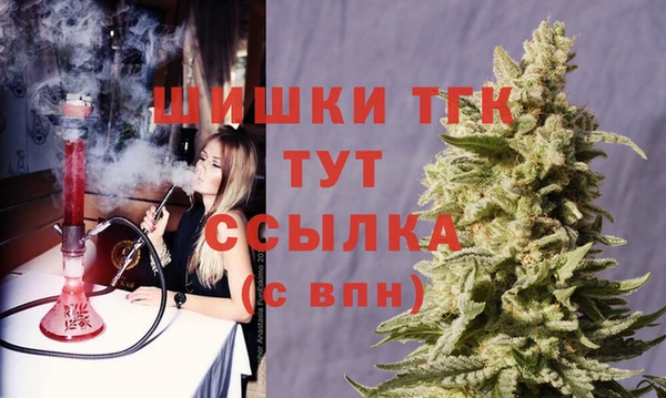 ECSTASY Абаза