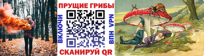дарк нет наркотические препараты  продажа наркотиков  Каменск-Шахтинский  Псилоцибиновые грибы ЛСД 